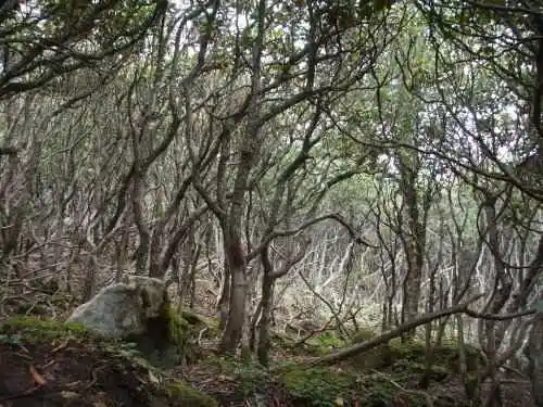 爱上行走的感觉冰晶顶－桦林湾穿越记行