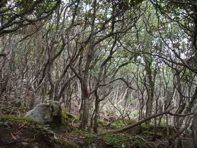 爱上行走的感觉——冰晶顶-桦林湾穿越记行,图四