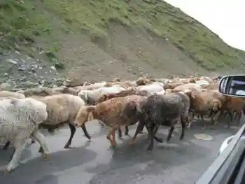 新疆，心无疆—中国新疆天山1号冰川、南山,图五