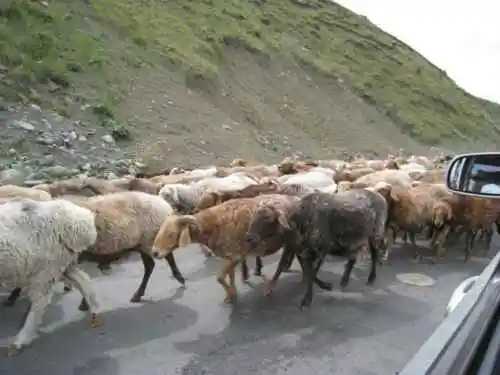 新疆，心无疆—中国新疆天山1号冰川、南山