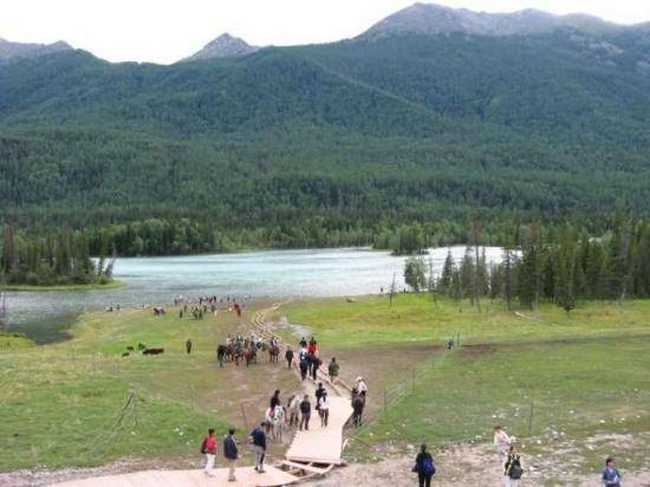 天堂很远喀纳斯很近,图十三