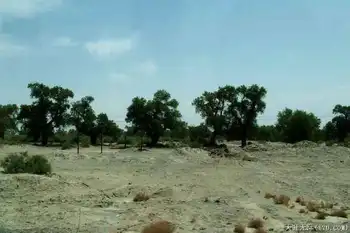 穿越塔克拉玛干（上）,图二十三