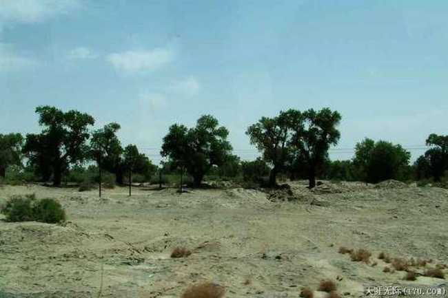 穿越塔克拉玛干(上),图二十三