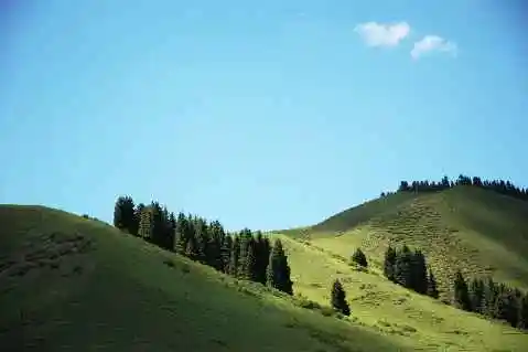 (北疆之六)南山牧场