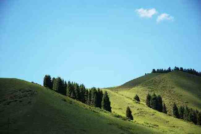 (北疆之六)南山牧場,圖一