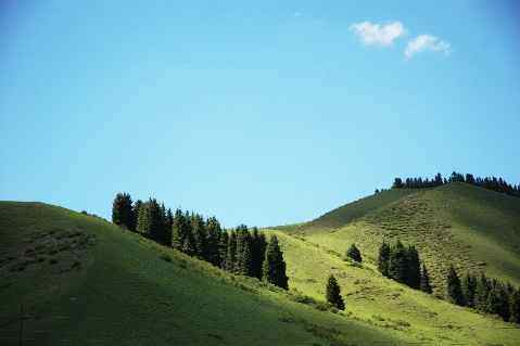(北疆之六)南山牧场,图一