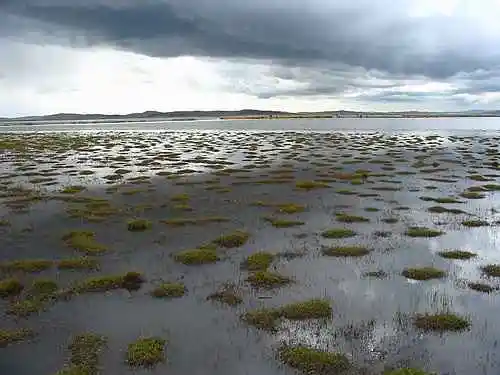 到青葱草原策马扬鞭