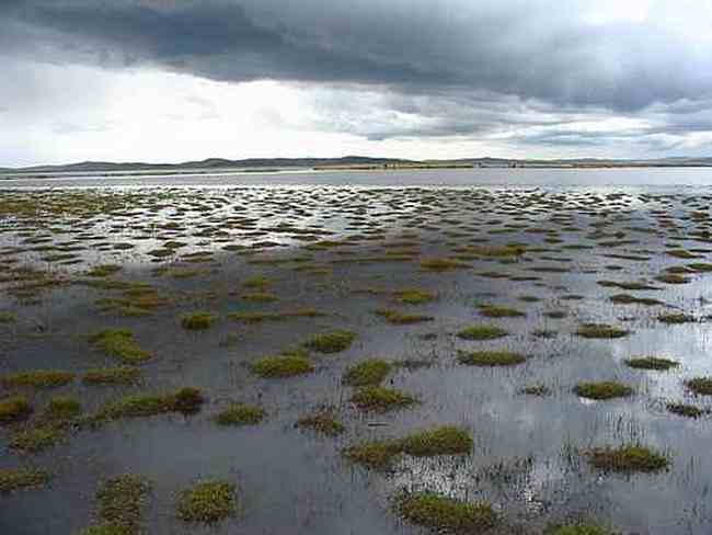 到青葱草原策马扬鞭,图十三