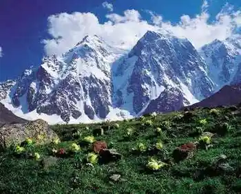 天山明珠--天池,图一