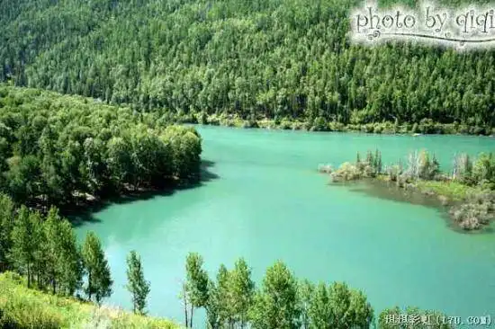 北疆自然揽胜之三：纯美翡翠喀纳斯
