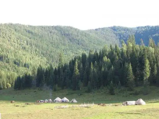 天堂很远喀纳斯很近