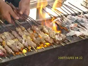 心旷神怡的罗布人村寨,图十一