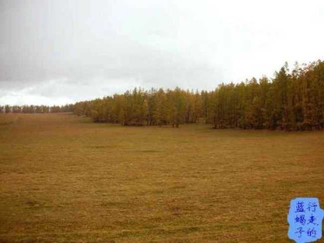 新疆圓舞曲5,圖八