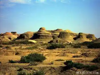 秋天最适合去新疆,图五