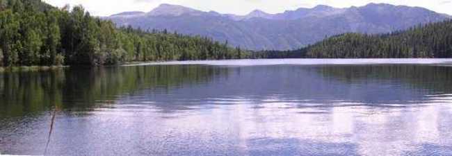 新疆－－喀纳斯湖,图十三