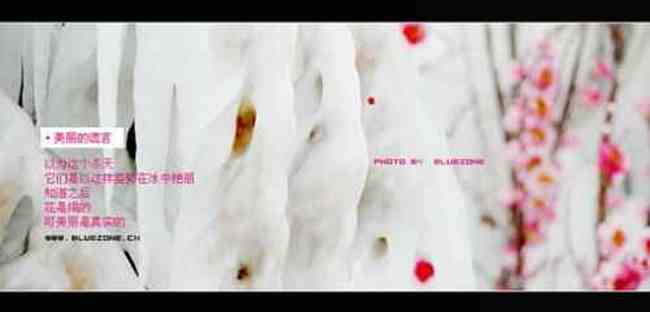 遗失在新疆（二）,图三