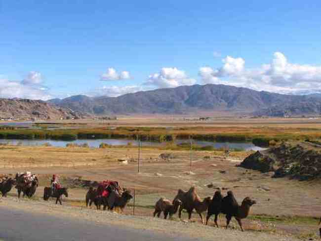 新疆自駕游記,圖十六