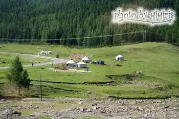 北疆自然揽胜之三：纯美翡翠喀纳斯,图三