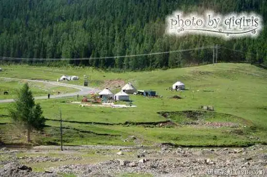 北疆自然揽胜之三：纯美翡翠喀纳斯