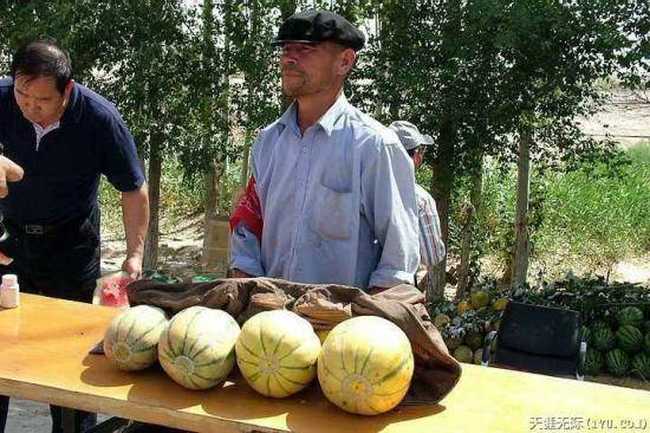 穿越塔克拉玛干(上),图十五