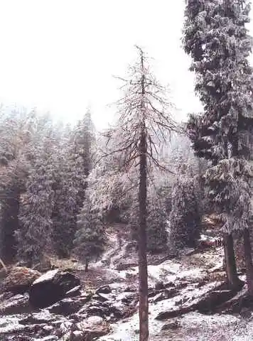 苍茫西北，我再难以忘情的地方！（四）