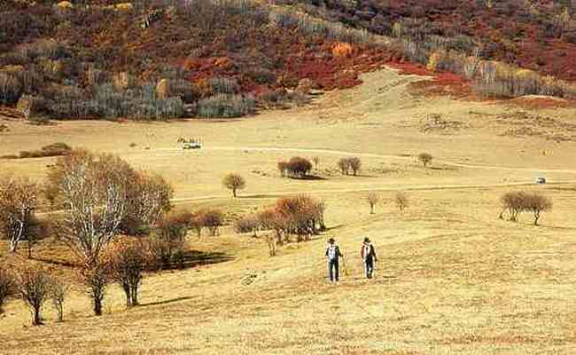 秋行坝上，感受幸福的另一种定义!!,图一
