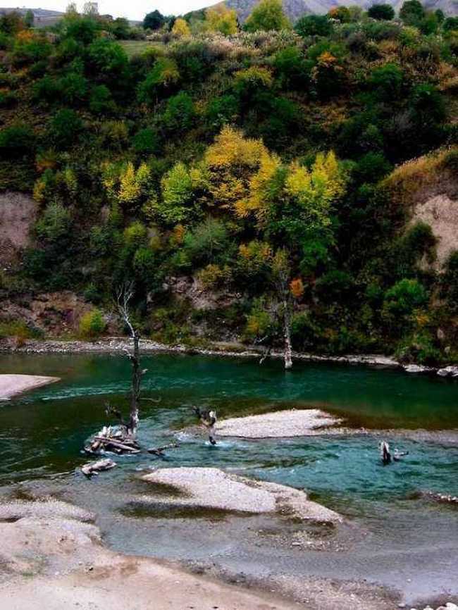 伊犁河美景,图六