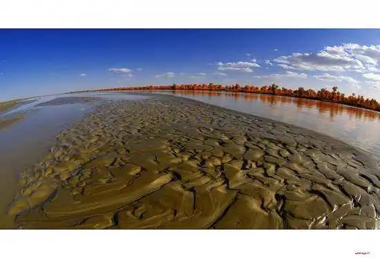 陶醉在塔里木河畔