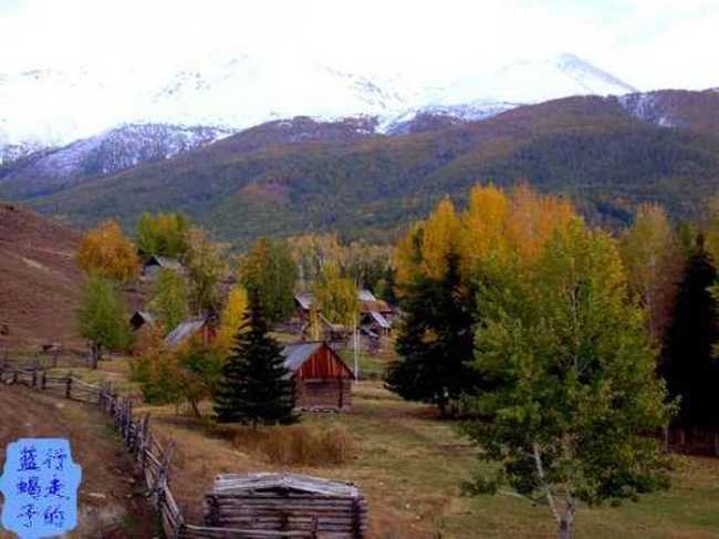 新疆圆舞曲7,图十二