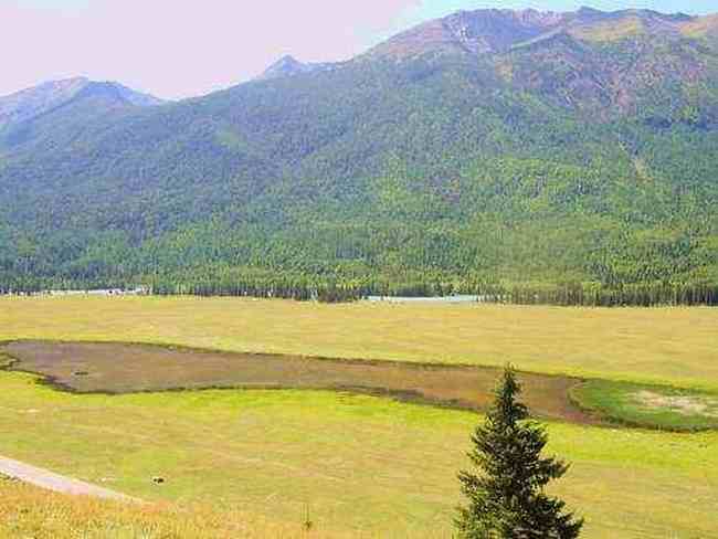 喀纳斯东线马帮探奇游(终结篇),图五