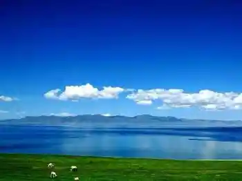 塞里木湖，花开时节,图五