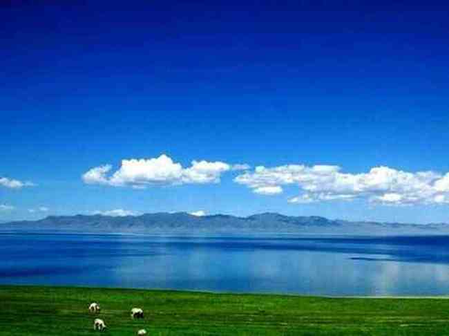 塞里木湖，花开时节,图五