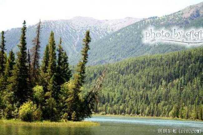 北疆自然揽胜之三：纯美翡翠喀纳斯,图九