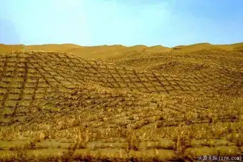 穿越塔克拉玛干（下）,图一