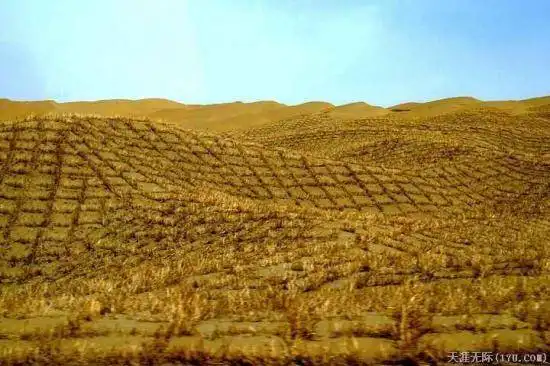 穿越塔克拉玛干（下）