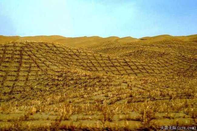 穿越塔克拉玛干（下）,图一