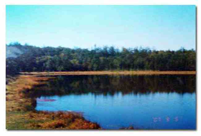 一人独行阿尔山,图二