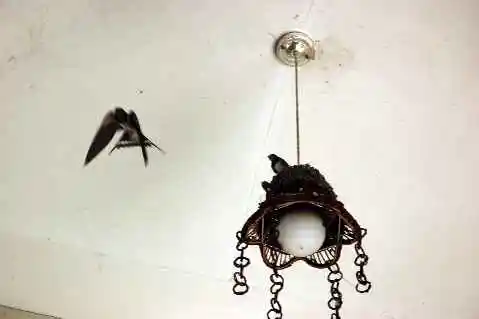 (北疆之五)吐鲁番的葡萄还没有熟