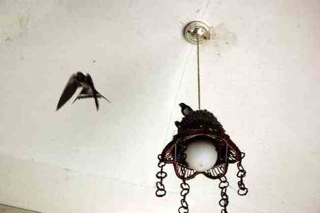 (北疆之五)吐鲁番的葡萄还没有熟,图十八