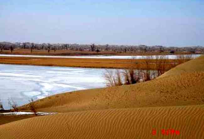 并不荒凉的塔克拉玛,图二
