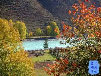 新疆圆舞曲2,图十六