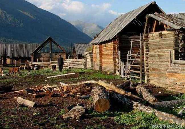 禾木一个童话世界（北疆纪行）,图十六