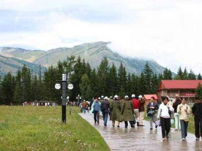 天堂很远喀纳斯很近,图十五