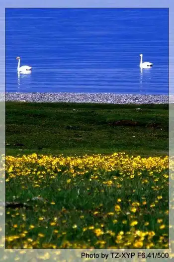 起飞----着陆《赛里木湖》,图三