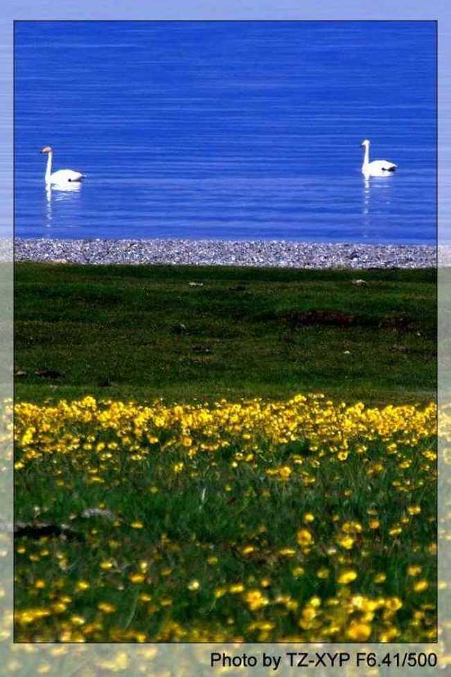 起飞----着陆《赛里木湖》,图三