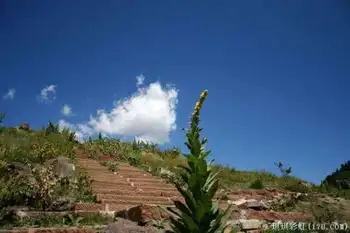 北疆自然揽胜之一:美若碧玉的天山明珠,图七