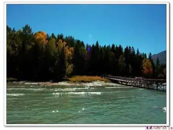 星光灿烂的喀纳斯湖,图十一