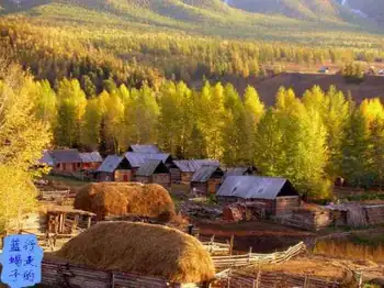 新疆圆舞曲7,图九