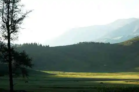 (北疆之二)贾登峪的夜与晨