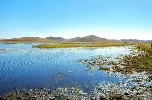 秋行坝上，感受幸福的另一种定义!!